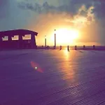Amylia