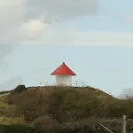 Amylia